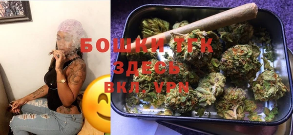 крисы Гусиноозёрск